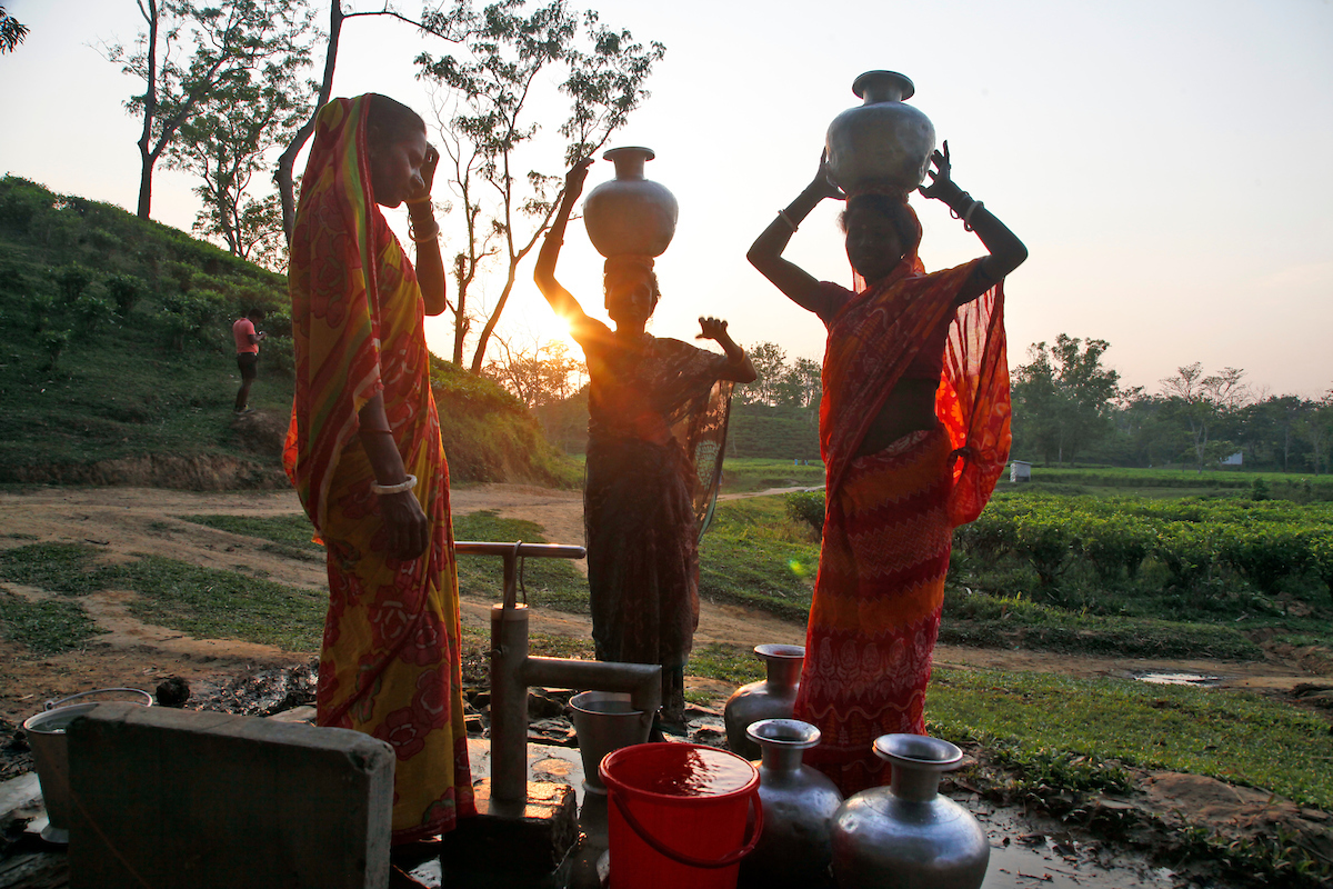 women-holding-water-jugs-at-jalinga-tea-estate