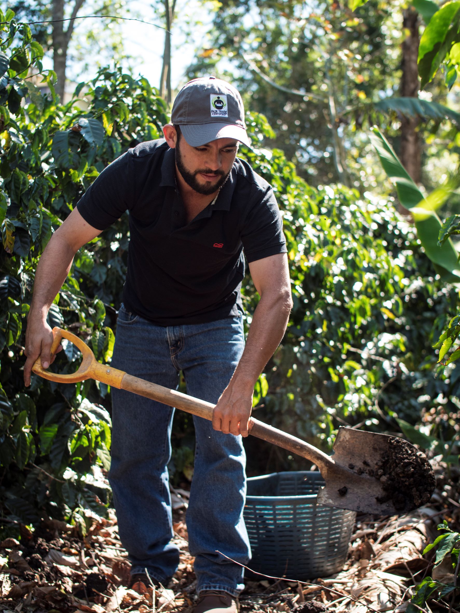 coopetarrazu-costa-rica-fair-trade-certified-coffee-coop
