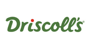 driscolls-berries-logo